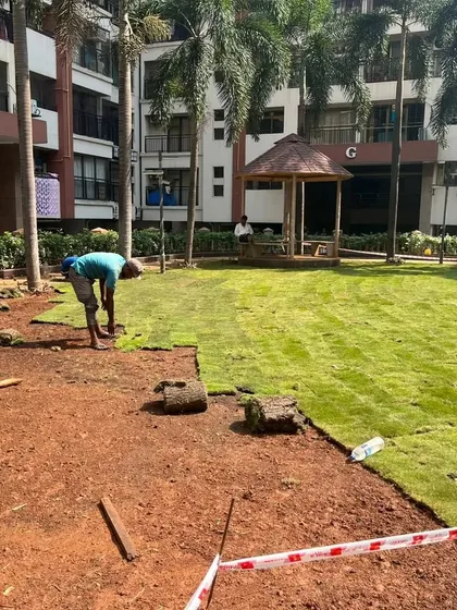 Our gardener meticulously places another roll of turf, ensuring a tight fit with the previously laid sections.