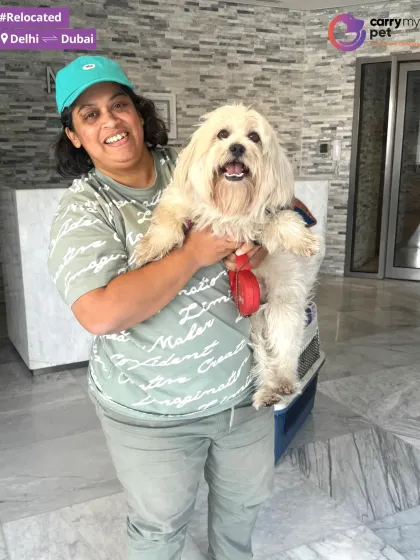 All smiles after a successful relocation. Snow is happy and safe in his owner's arms after moving from Delhi to Dubai.
