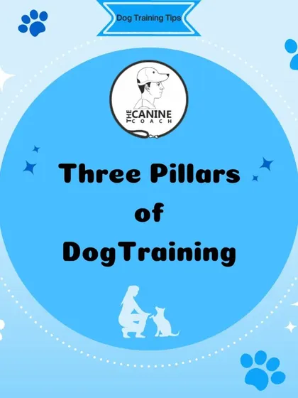 This graphic explains the three pillars of dog training. These principles are the foundation of my entire approach to building a healthy, happy relationship with your dog.