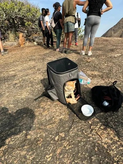 Yes, that's a cat in a backpack. We meant it when we said everyone is welcome. Our treks are pet friendly, so your furry adventure buddies can join the fun.
