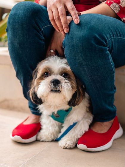 We understand the bond you share with your pet. Here, you'll find plenty of quiet corners and cozy spots to relax together, strengthening your connection in a serene environment.