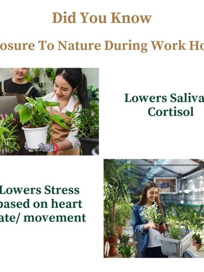 Healing Garden - Corporate Wellness & Team Building Our Wellness Philosophy photo 4