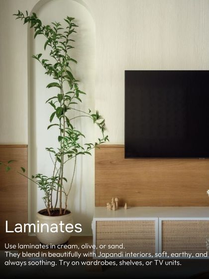 In Japandi interiors, use laminates in cream, olive, or sand. They blend beautifully with the soft, earthy, and soothing aesthetic, perfect for wardrobes, shelves, or TV units.