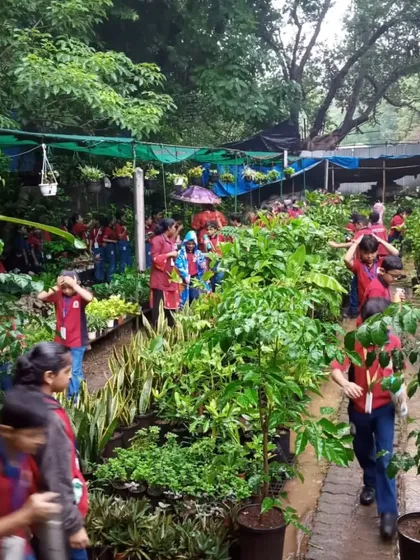 I love welcoming school groups to the nursery. It's a joy to see children exploring the aisles, learning about different plants, and connecting with nature in the heart of the city.