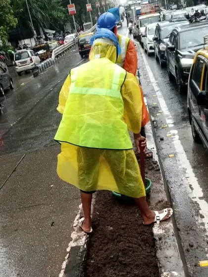 This photo captures the dedication of my team. Here they are preparing the soil in a road median during a heavy downpour for the "One Green Mile" project, showing our commitment to getting the job done.