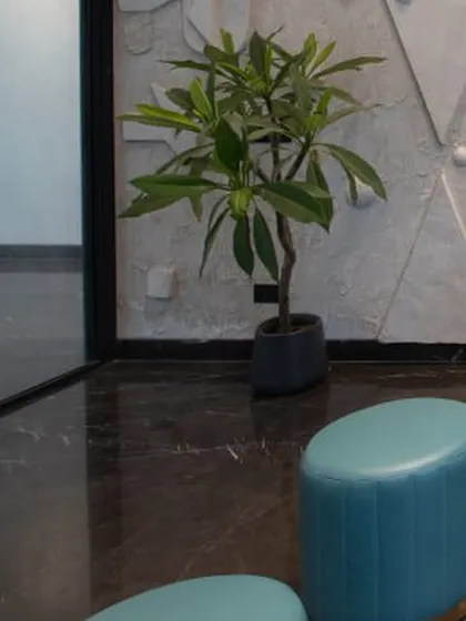 A small plant placed next to the textured art wall, showing the contrast between the organic and the man-made, the rough and the smooth.