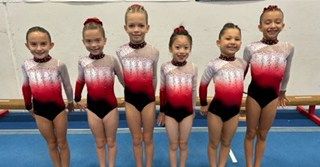 Fun & Fitness - Gymnastics & Tumbling Programs Our Champion Girls Teams photo 79