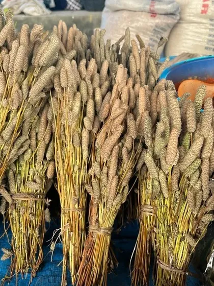 Bundles of dried foxtail millet, another traditional grain found in the markets of Nagaland.