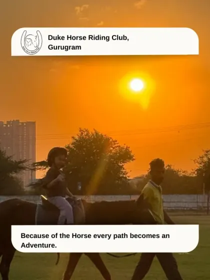 A child enjoys a sunset ride, safely led by one of our experienced handlers. Every path becomes an adventure here.