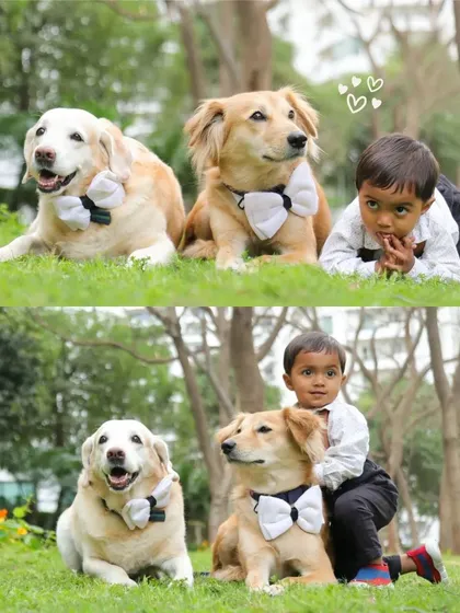 The bond between children and pets is one of the purest friendships. I love capturing these gentle interactions, preserving the memories of kids growing up alongside their loyal, furry siblings.