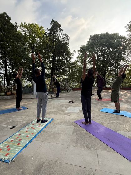 A group of us reaching for the sky during an outdoor sun salutation sequence. There's a powerful collective energy when we move and breathe together under the open sky.