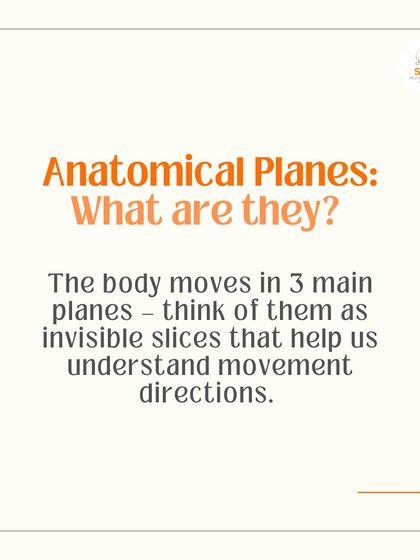 What are anatomical planes? This graphic introduces the three main planes of movement, which help us understand and break down complex exercises for smarter training.