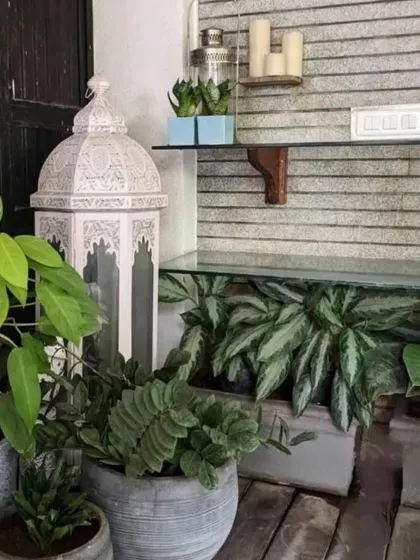 A semi-outdoor space decorated with a variety of potted plants in concrete and ceramic planters. The mix of foliage and decorative items like the lantern creates a cozy, bohemian vibe.