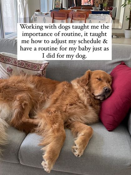 Nitika Ahlawat - Dog and Child Safety & Integration Our Family Album photo 17