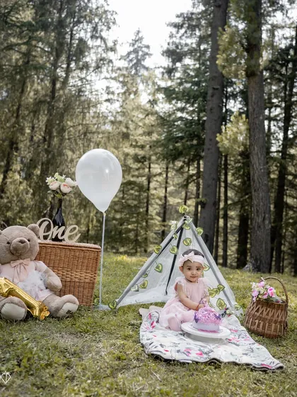Another perspective of the birthday setup, showing the scale of the forest setting. These wider shots help tell the story of a magical birthday adventure in nature.