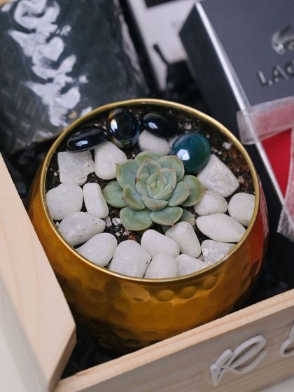 A detail shot of the succulent plant in a golden pot, adding a touch of green and life to the corporate gift hamper.