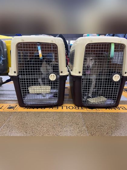 Journeys to Canada photo 17