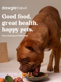 Fresh Pet Food Delivery