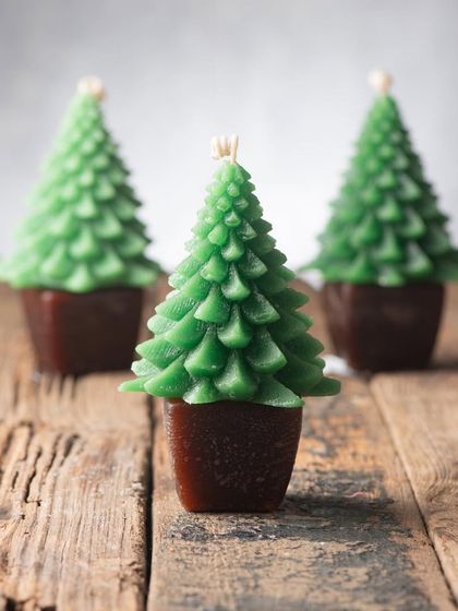 Christmas Wonderland photo 17