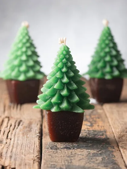 A trio of my classic green potted Christmas tree candles. They look great grouped together or gifted individually.