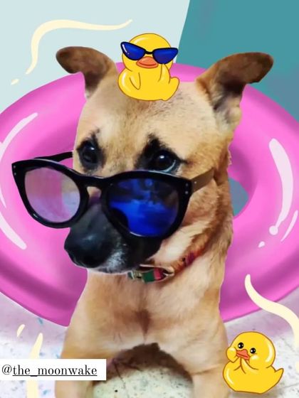 Rachita Burjupati - Custom Portraits & Illustrations Custom Pet Portraits photo 19