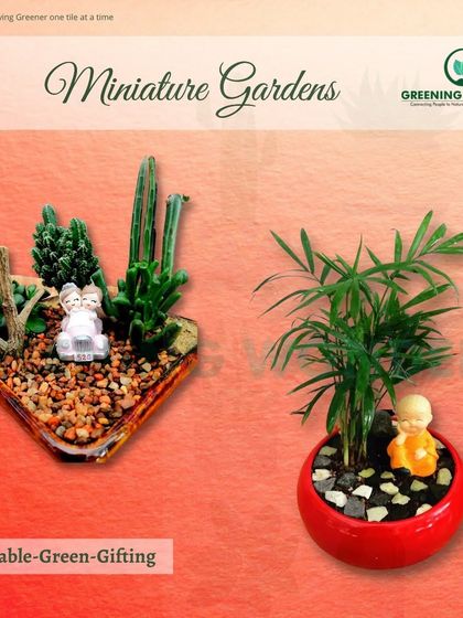 Greening Wonders - Corporate & Personal Plant Gifting Additional Work photo 21