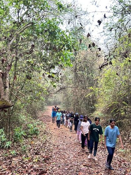 A long line of participants treks through a path surrounded by butterflies, a magical moment at our Dandeli camp.