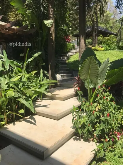 Stone steps float above a bed of lush greenery, leading up into a garden. This design makes the journey feel lighter and more integrated with the surrounding planting.