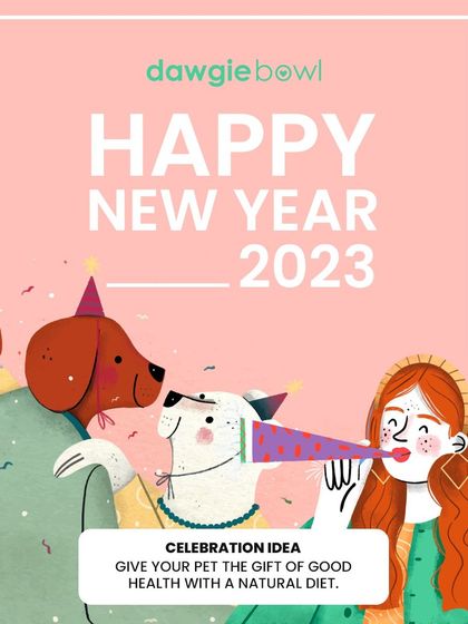 A New Year is the perfect time to start a healthy diet for your pet. Give them the gift of real nutrition and a long, happy life with our natural, balanced meals.