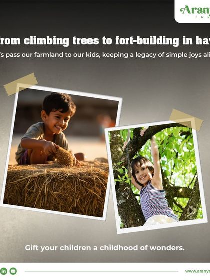 From climbing trees to building forts in hay, I want to help you pass on a legacy of simple joys to your children. Gift them a childhood of wonders.