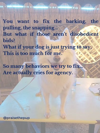 Barking, pulling, snapping. We often see these as disobedient behaviors to be fixed. But what if your dog is just trying to say, "This is too much for me?" Many of these behaviors are actually cries for agency.