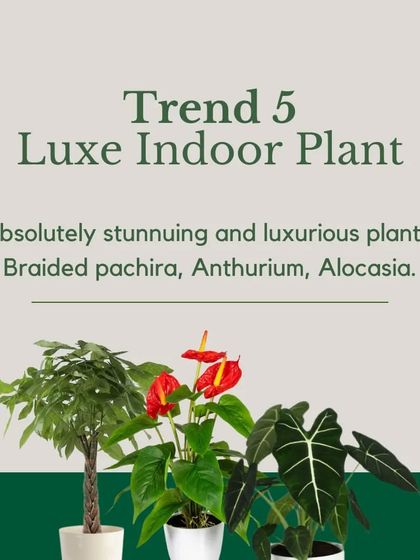 Plant Trends & Expert Tips photo 6