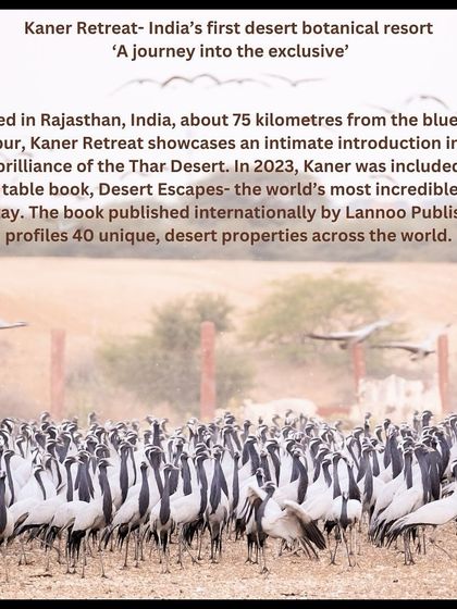 An introduction to Kaner Retreat, India's first desert botanical resort. This sacred grove provides the perfect backdrop for our annual retreat, allowing us to experience the magic of this ancestral space.