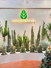 Plant Styling & Landscape Design