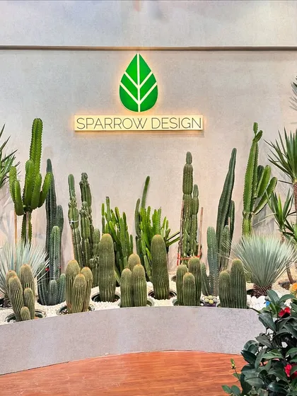 Welcome to my design studio, where the desert meets modern design. This custom cactus and succulent installation showcases how I use architectural plants and clean lines to create a stunning, low-maintenance focal point.