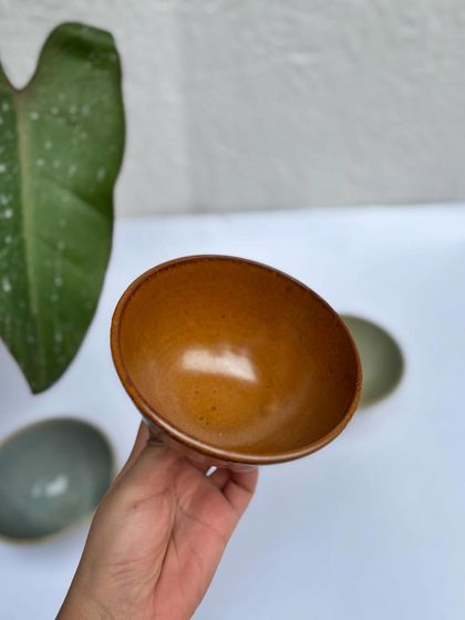 A top-down view of the Languid Magic fruit bowl, showing the glossy finish and throwing rings inside.