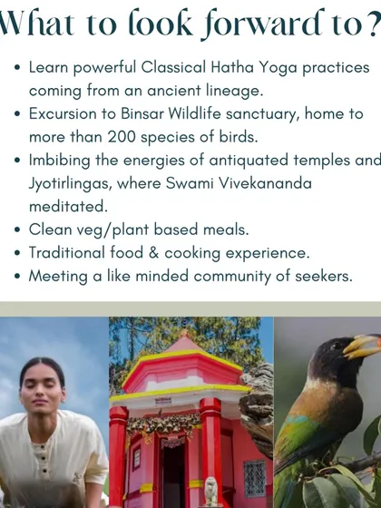 Here is what you can look forward to: learning powerful Classical Hatha Yoga, excursions to Binsar Wildlife Sanctuary, imbibing the energies of ancient temples, and enjoying clean, plant-based meals with a community of fellow seekers.