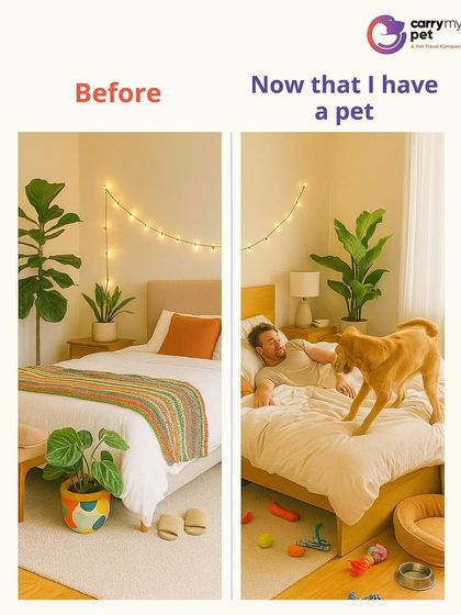 CarryMyPet - Pet Travel & Parenting Consultation The Heart of a Pet Parent photo 25