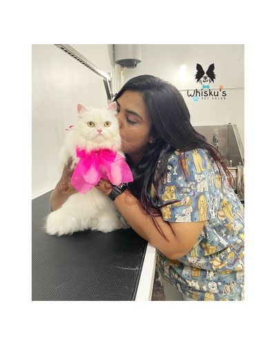 Cat Grooming