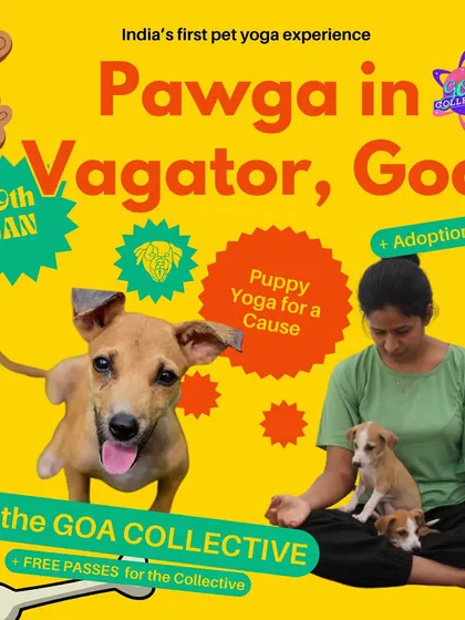 Hello Goa. We're coming to the Goa Collective Bazaar with puppy yoga for a cause and an adoption drive.