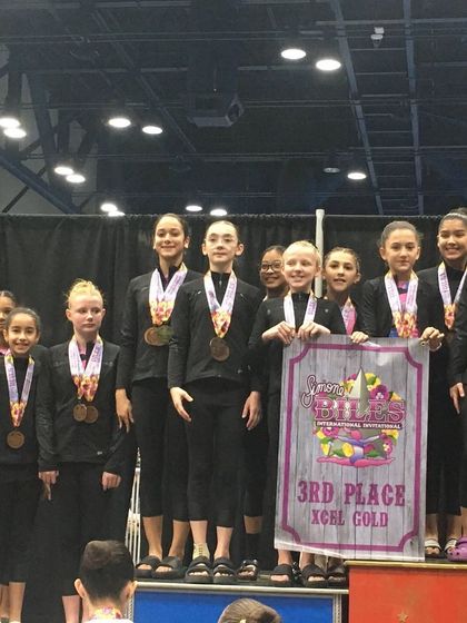 Fun & Fitness - Gymnastics & Tumbling Programs Our Champion Girls Teams photo 6