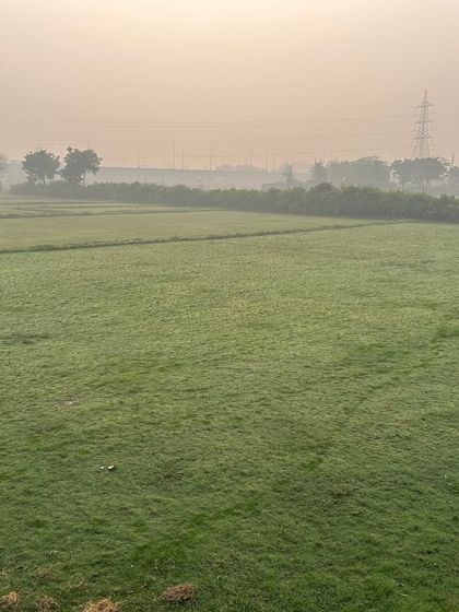 A misty morning over my grass farm. I ensure my grass is healthy and well-maintained year-round.