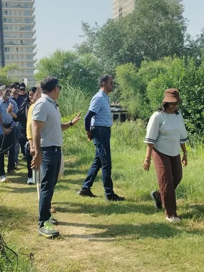 A guided walk for our corporate partners at a restoration site. We show them the contrast between the concrete jungle in the background and the green oasis we are creating together.