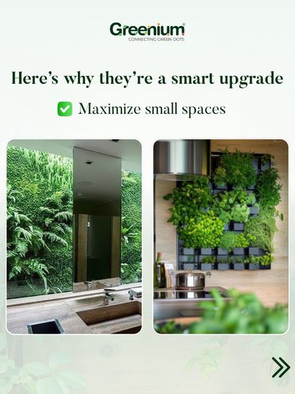 Greenium - Interior Plantscaping & Decor Custom Green Walls photo 12
