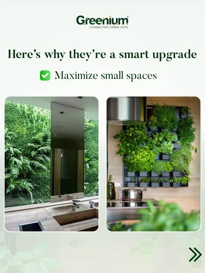 Vertical gardens are a smart solution for small spaces, like this kitchen. They allow you to have a beautiful herb garden or a green feature without sacrificing precious counter space.