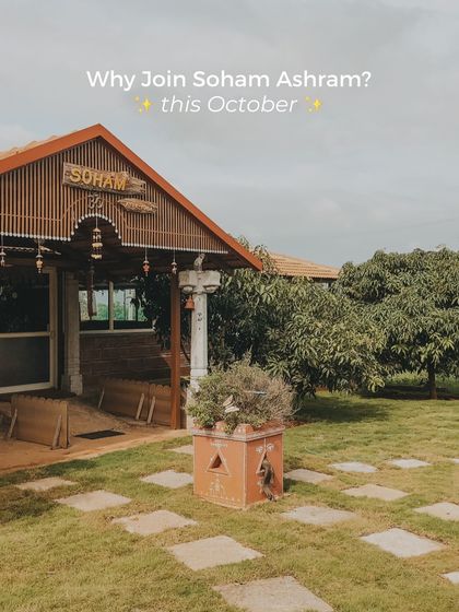 The entrance to our main yoga shala, nestled among mango trees. This is where you will spend many hours, practicing, learning, and growing in a space built with love and natural materials.