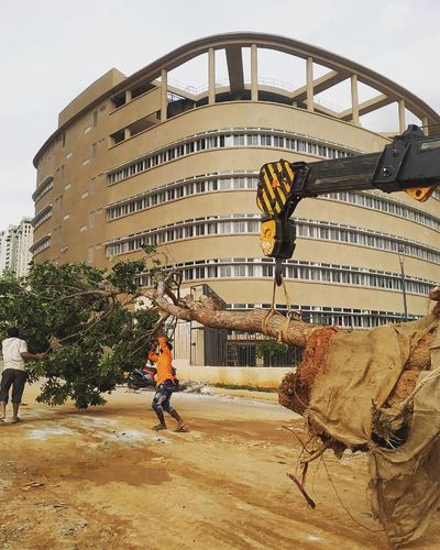 Tree Transplantation