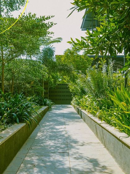 A quiet, shaded walkway lined with lush greenery. It's one of the many paths you can take to explore the property and find your own peaceful spot.