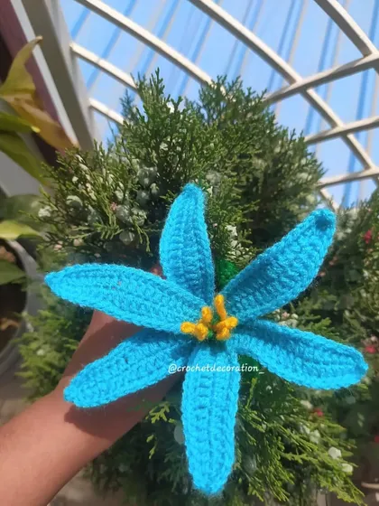 A beautiful blue lily stem held against a green background.