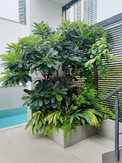 Even a small corner of a terrace can become a vibrant green space. We placed this large planter next to the pool, filling it with a variety of tropical plants to create a dense, jungle-like feel.